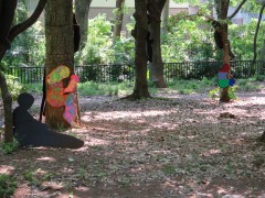 IMG_1021
