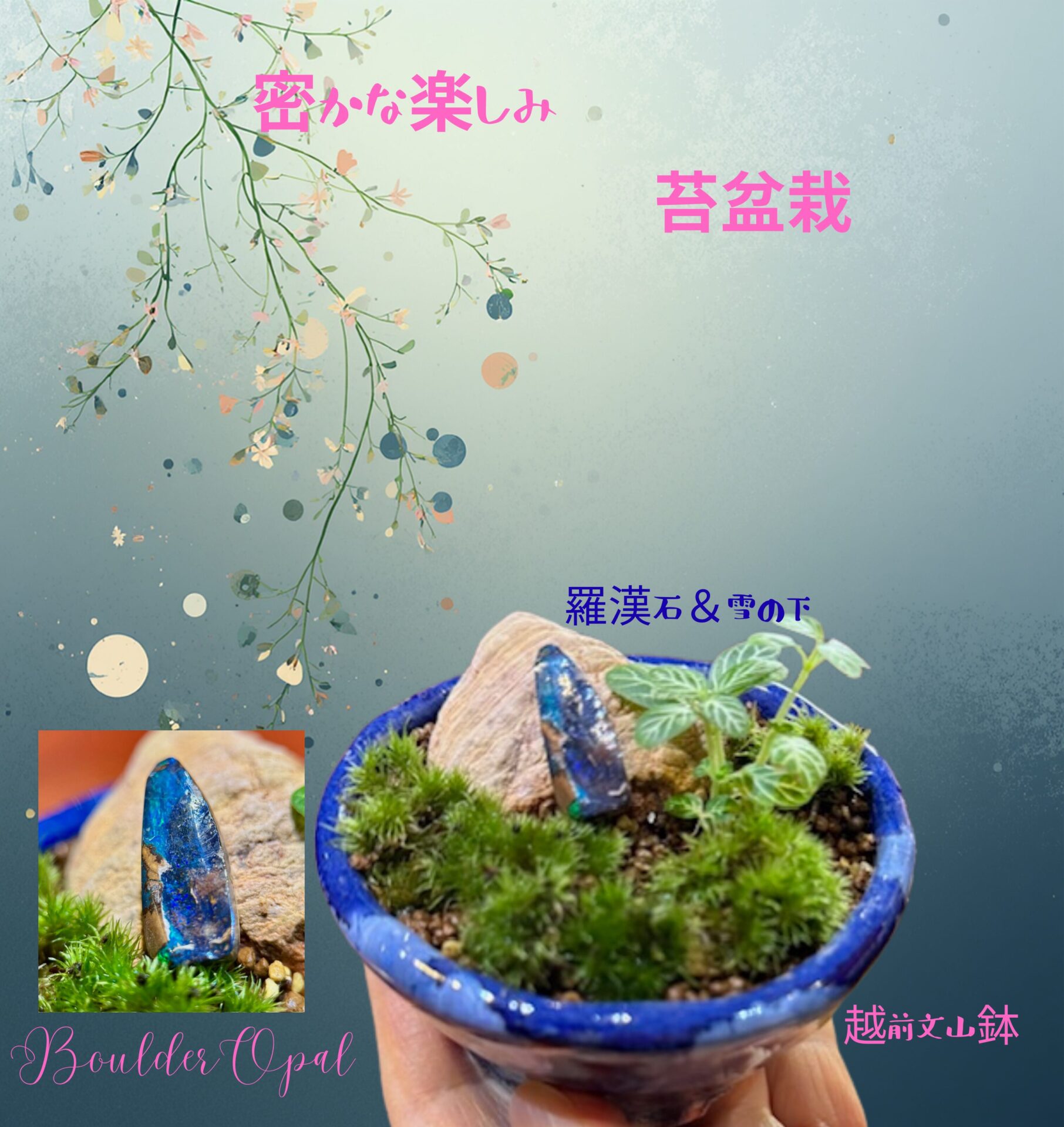 密かな楽しみ (45)